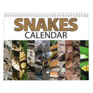 Snake Calendar Kalender