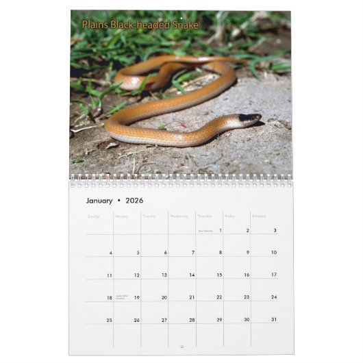 Snake Calendar Kalender (Jan 2026)