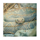 Snake Ceramic Tile Tegeltje (Voorkant)