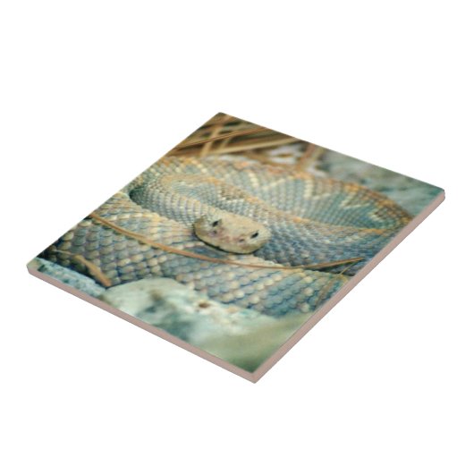 Snake Ceramic Tile Tegeltje (Zijkant)