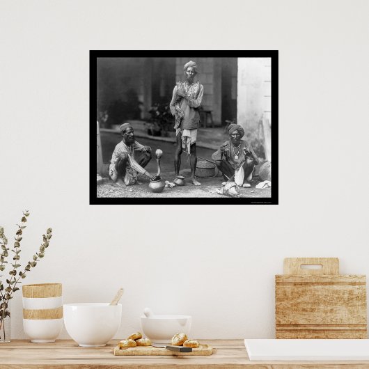 Snake Charmers with their Cobras in India 1898 Poster (Keuken)