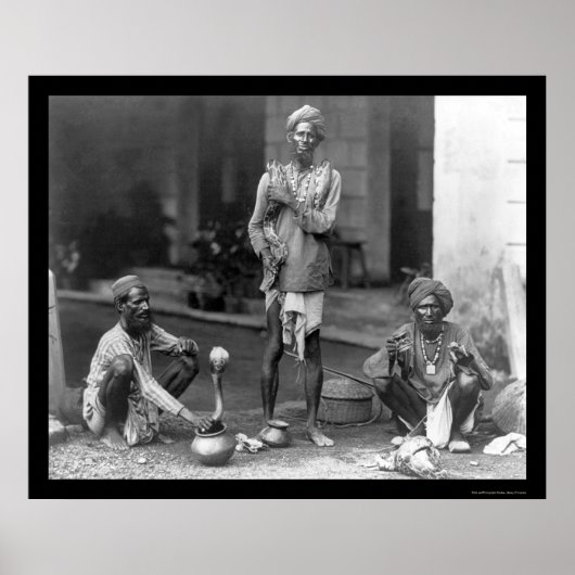 Snake Charmers with their Cobras in India 1898 Poster (Voorkant)
