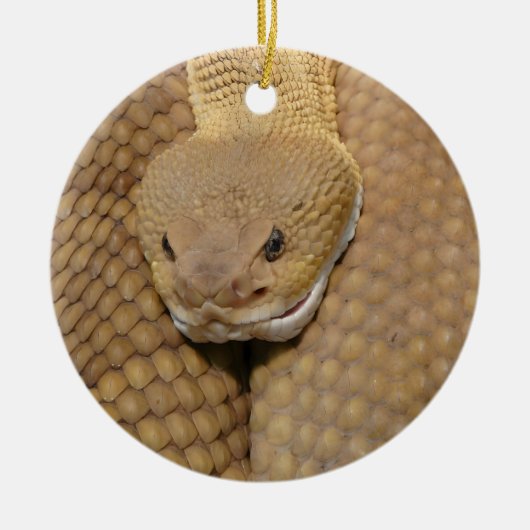 Snake Christmas Ornament Snake Ornament (Voorkant)