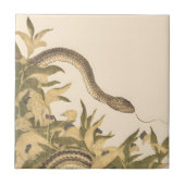 Snake  Cream Tegeltje (Voorkant)