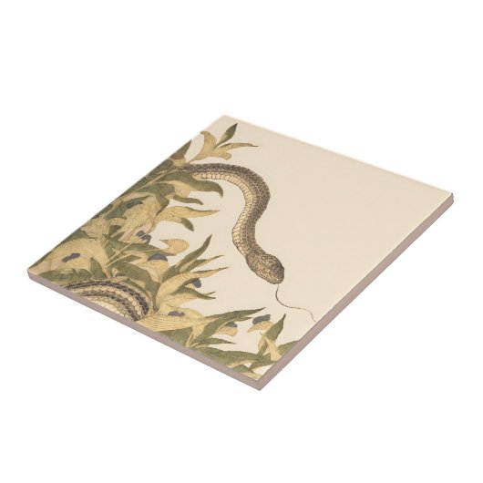 Snake  Cream Tegeltje (Zijkant)