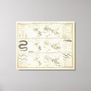 Snake Distributions Canvas Afdruk