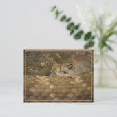 Snake Eye Briefkaart (Staand voorkant)