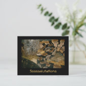 Snake gezegde Sssalutaties Briefkaart (Staand voorkant)