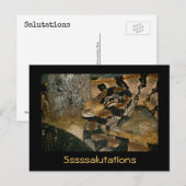 Snake gezegde Sssalutaties Briefkaart (Voorkant / Achterkant)
