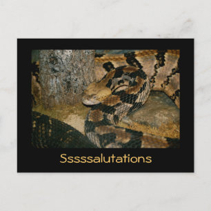 Snake gezegde Sssalutaties Briefkaart