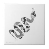 Snake Grey en Light Grey Silhouette Tegeltje (Voorkant)
