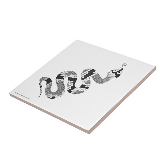 Snake Grey en Light Grey Silhouette Tegeltje (Zijkant)