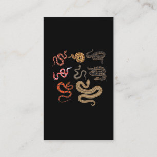 Snake Hunter Reptile Collector Animal Education Visitekaartje