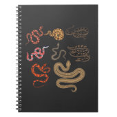 Snake Hunter Reptile Collector Animal Onderwijs Notitieboek (Voorkant)