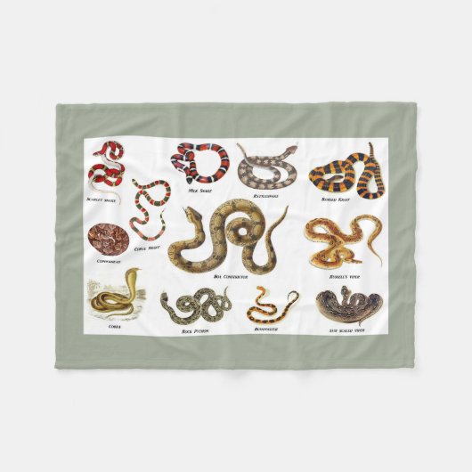 Snake Identification Blanket Fleece Deken (Voorkant (Horizontaal))