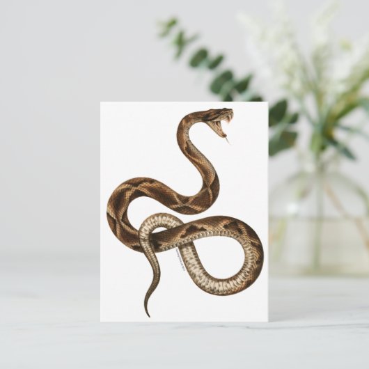  Snake Illustration Fangs Briefkaart (Staand voorkant)