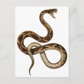 Snake Illustration Fangs Briefkaart (Voorkant)