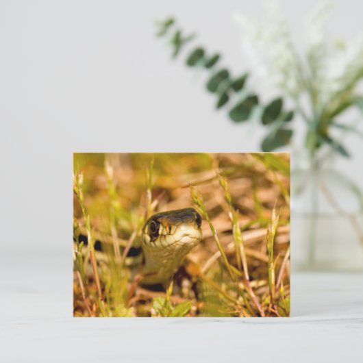 Snake in de gras briefkaart (Staand voorkant)