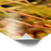 Snake in de gras foto afdruk (Hoek)