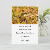 Snake in de gras kaart (Staand voorkant)