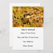 Snake in de gras kaart (Voorkant / Achterkant)