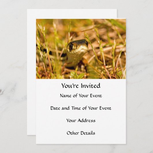 Snake in de gras kaart (Voorkant / Achterkant)