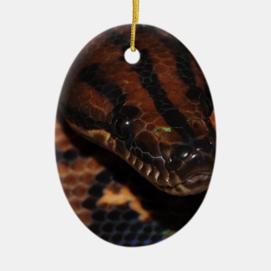 Snake Keramisch Ornament (Voorkant)