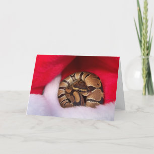 Snake krulde in Santa hat, ball python Feestdagen Kaart