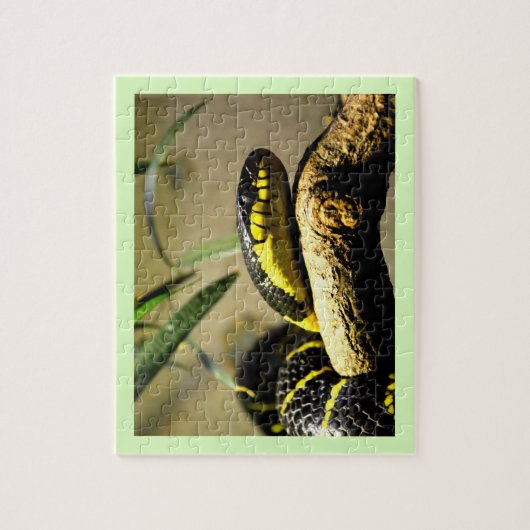 Snake Legpuzzel (Verticaal)