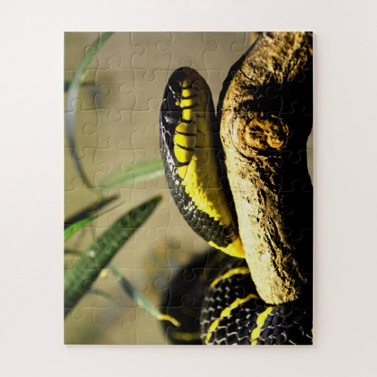 Snake Legpuzzel (Verticaal)