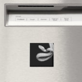 Snake Magneet (Insitu (Vaatwasser))