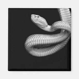 Snake Magneet