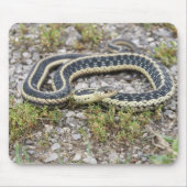 Snake Mousepad Muismat (Voorkant)