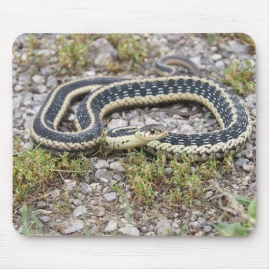 Snake Mousepad Muismat (Voorkant)