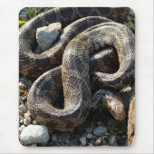 Snake Muismat (Voorkant)