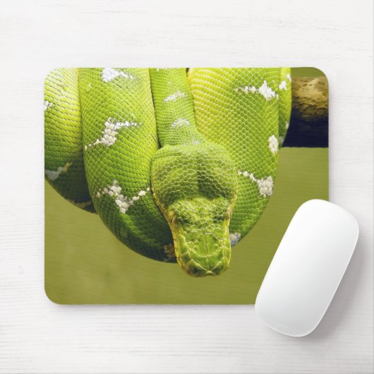 Snake Muismat (Met muis)
