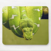 Snake Muismat (Voorkant)