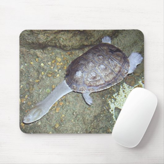 Snake Neck Turtle Mousepad #3 Muismat (Met muis)