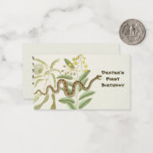 Snake Notitiekaartje (Voorkant / Achterkant in situ)