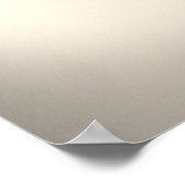 Snake Oil "Cure All Ailments" Fles grappig poster (Hoek)