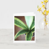 Snake Plant - Blank gevouwen Kaart (Gele Bloem)