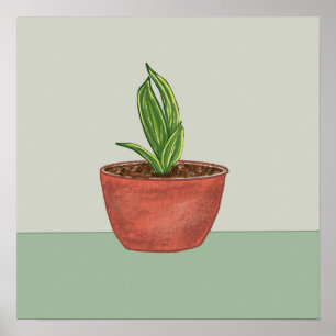Snake Plant Illustratie Poster