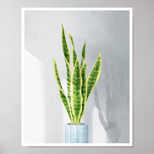 Snake plant, Mother-in-law tongue, Sansevieria Poster (Voorkant)
