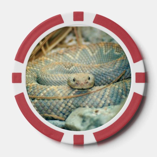 Snake poker chips (Voorkant)