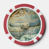 Snake poker chips (Achterkant)