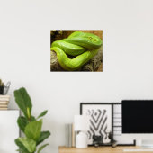 Snake Poster (Thuiskantoor)