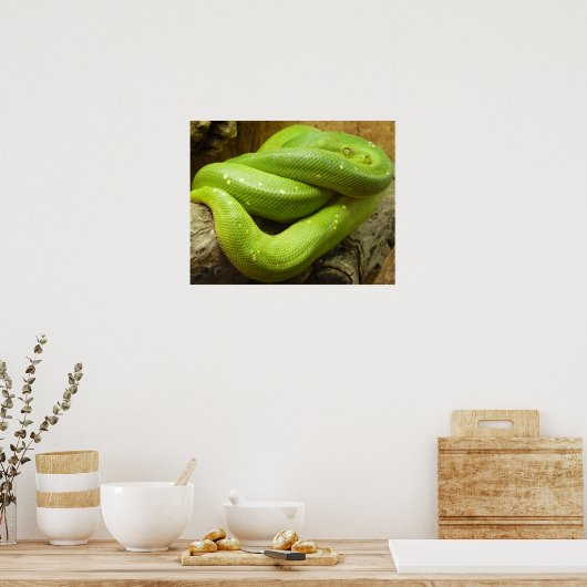 Snake Poster (Keuken)