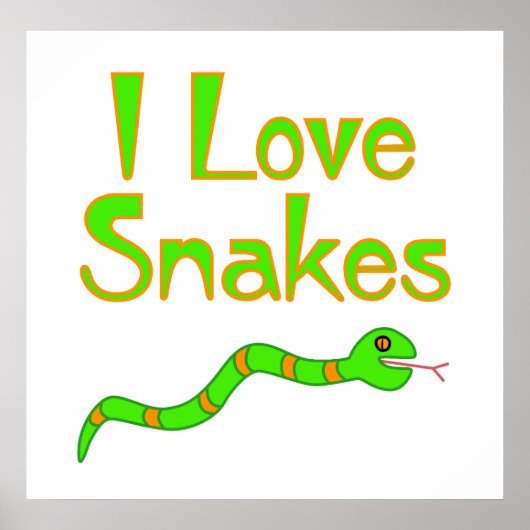Snake Poster (Voorkant)