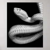 Snake Poster (Voorkant)