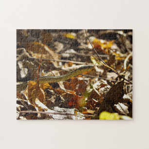 Snake Puzzle Legpuzzel